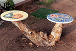 Double Table Tops on Forked Tree Trunks